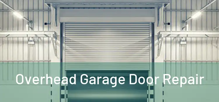  Overhead Garage Door Repair 